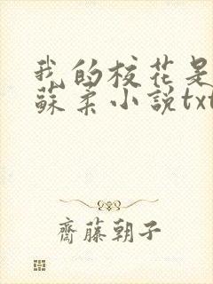 我的校花是福姬苏柔小说txt