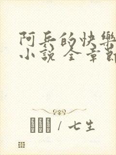 阿兵的快乐生活小说 全章节阅读免费