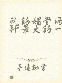 我的媚骨妈妈林轩最火的一句