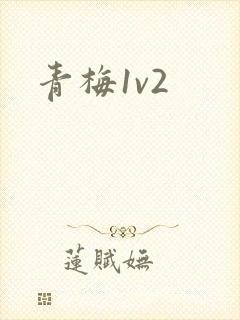 青梅1v2