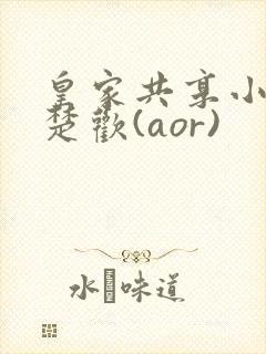 皇家共享小公主楚欢(aor)