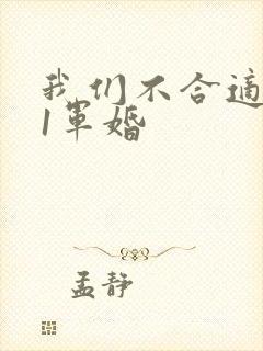 我们不合适1v1军婚