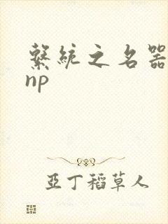 系统之名器攻略np