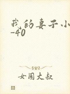 我的妻子小谨1-40