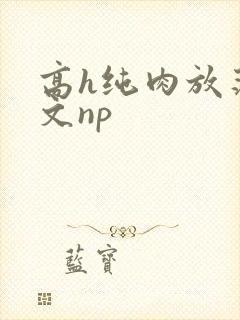 高h纯肉放荡h文np