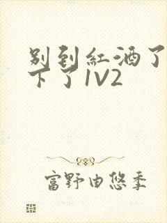 别到红酒了装不下了1V2