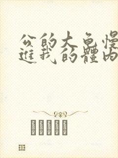 公的大龟慢慢挺进我的体内