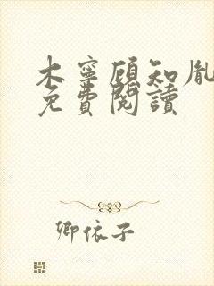 木宁顾知胤小说免费阅读