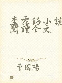 李霖的小说免费阅读全文