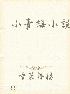 小青梅小说