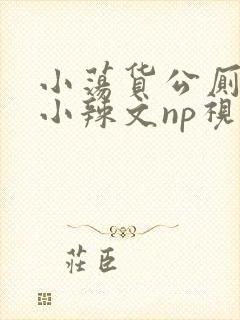 小荡货公厕h文小辣文np视频