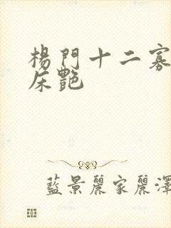 杨门十二寡妇肉床艳