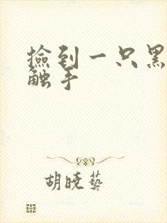 捡到一只黑心小触手