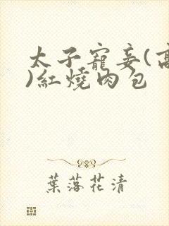 太子宠妾(高肉)红烧肉包