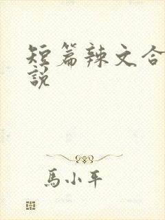 短篇辣文合集小说