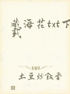 藏海花txt下载