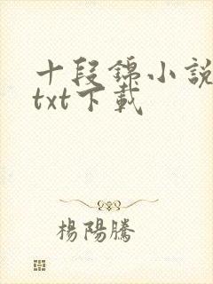 十段锦小说全本txt下载