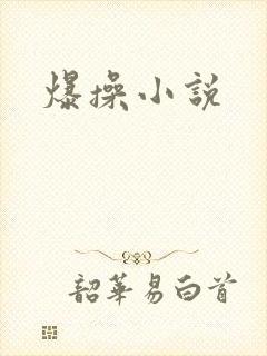 爆操小说