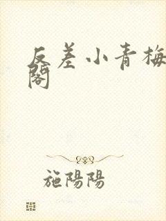 反差小青梅笔趣阁