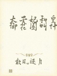 太子妃和皇帝在御花园叫什么小说