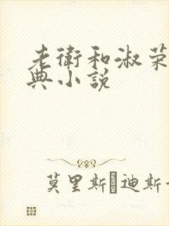 老卫和淑荣的经典小说