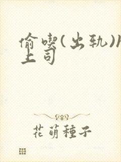 偷吃(出轨)h上司