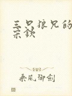 三只狼兄的宠妻宋钦