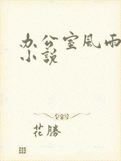 办公室风雨完整小说