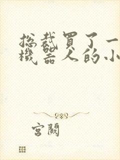 总裁买了一个男机器人的小说