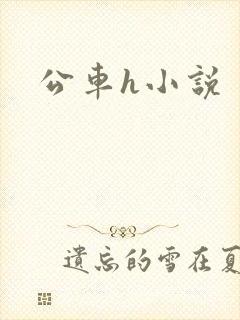 公车h小说