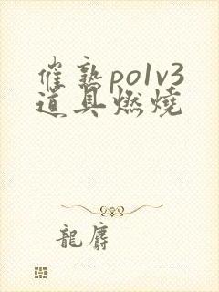 催熟po1v3道具燃烧