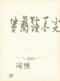 他最野了小说免费阅读全文