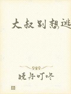 大叔别想逃
