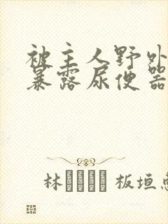 被主人野外调教暴露尿便器