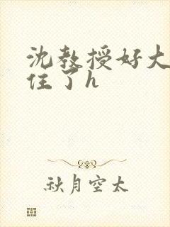 沈教授好大含不住了h