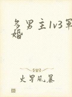 多男主1v3军婚