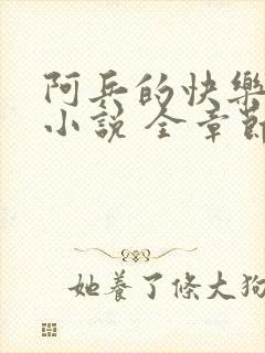 阿兵的快乐生活小说 全章节阅读免费