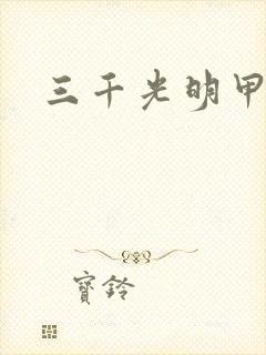 三千光明甲