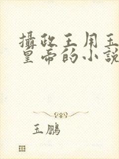 摄政王用玉髓整皇帝的小说