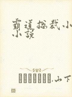 霸道总裁小娇妻小说