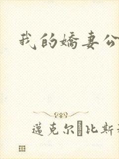 我的娇妻公务员