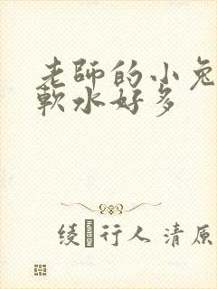 老师的小兔子好软水好多