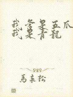 我爹是五爪金龙我是青龙