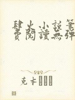 肆火小说笔趣免费阅读无弹窗