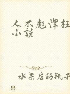 人不彪悍枉少年小说