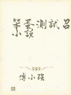 笨蛋测试召唤兽小说