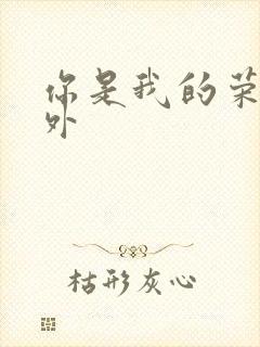 你是我的荣耀番外