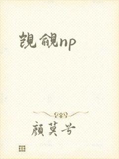 觊觎np