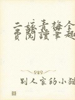 二嫁青梅全文免费阅读笔趣阁