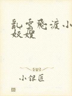 乱云飞渡小说之姣嫂